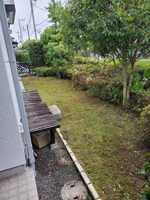 1596010711601_コピー