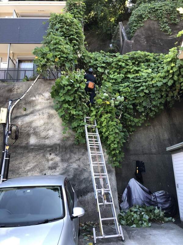 1633305499603_20211004090051_コピー